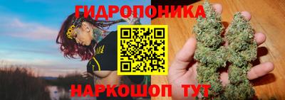 гидра Старая Купавна