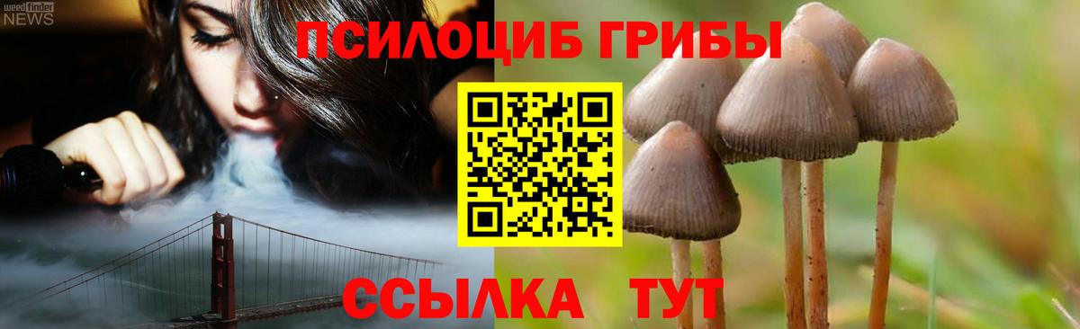 Новосибирск  купить закладку  Вход с VPN  Псилоцибиновые грибы Cubensis 